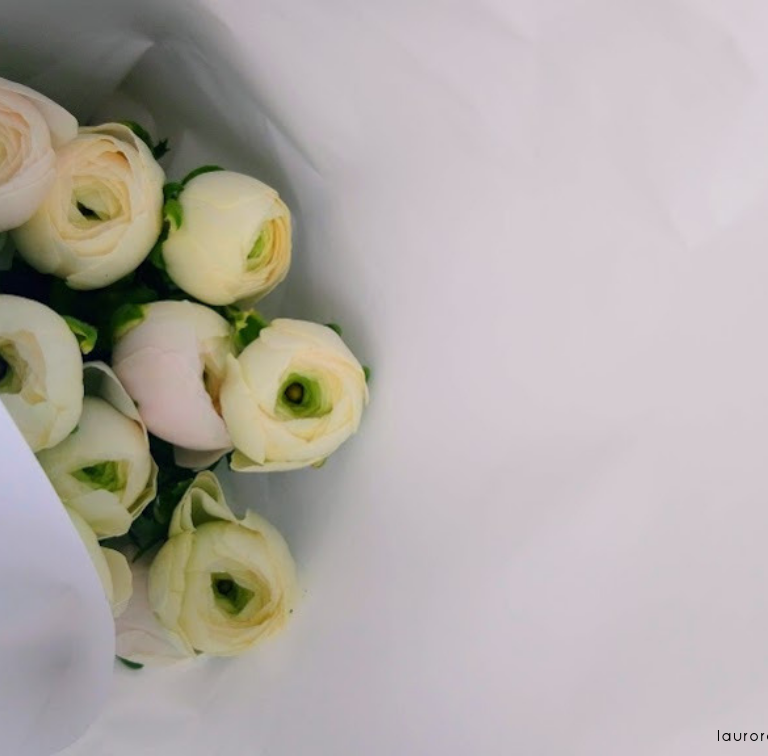 WELCOME | LAURORAFLOREALE.IT