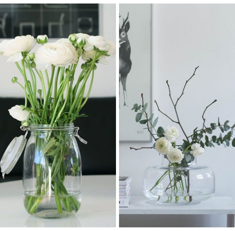 RANUNCULUS | PURITY