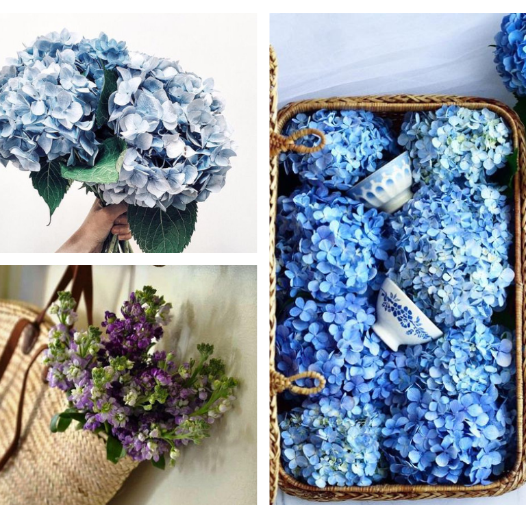 MOTHER’S DAY | FLOWERS EVERYWHERE