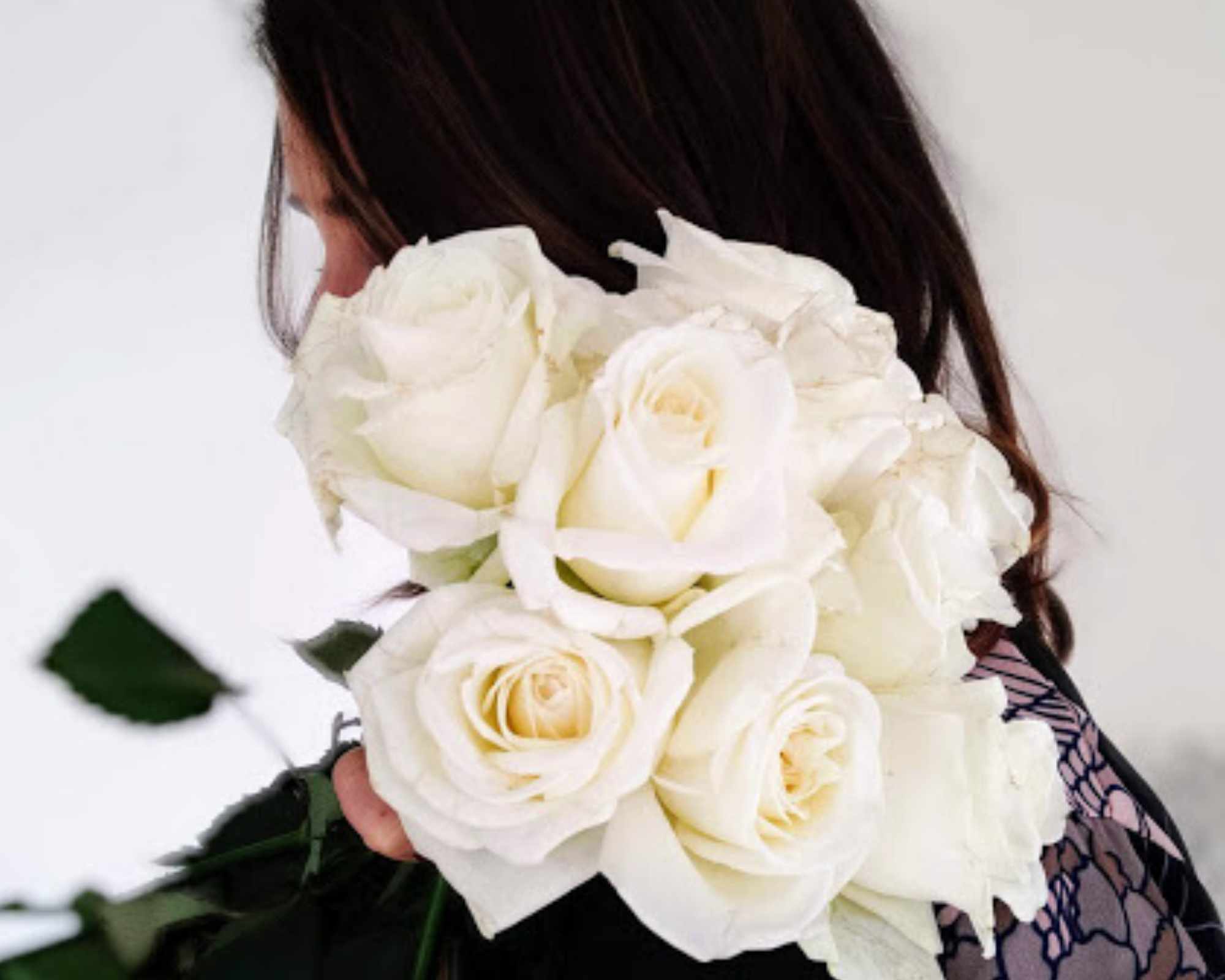 lauroraloreale.it-flowers gallery lauroraloreale.it-flowers gallery