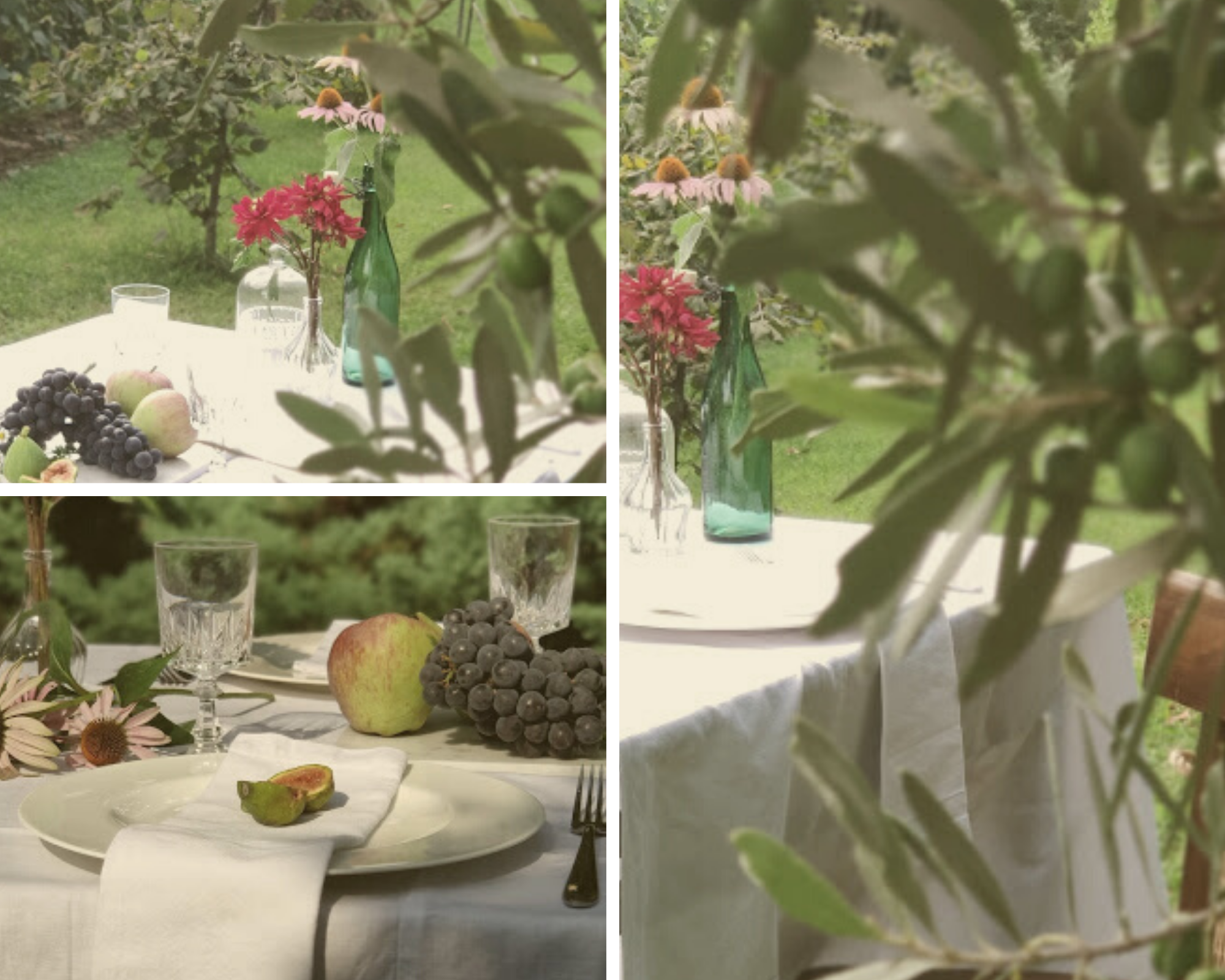 benvenuto autunno-gallery1.laurorafloreale.it benvenuto autunno-gallery1.laurorafloreale.it