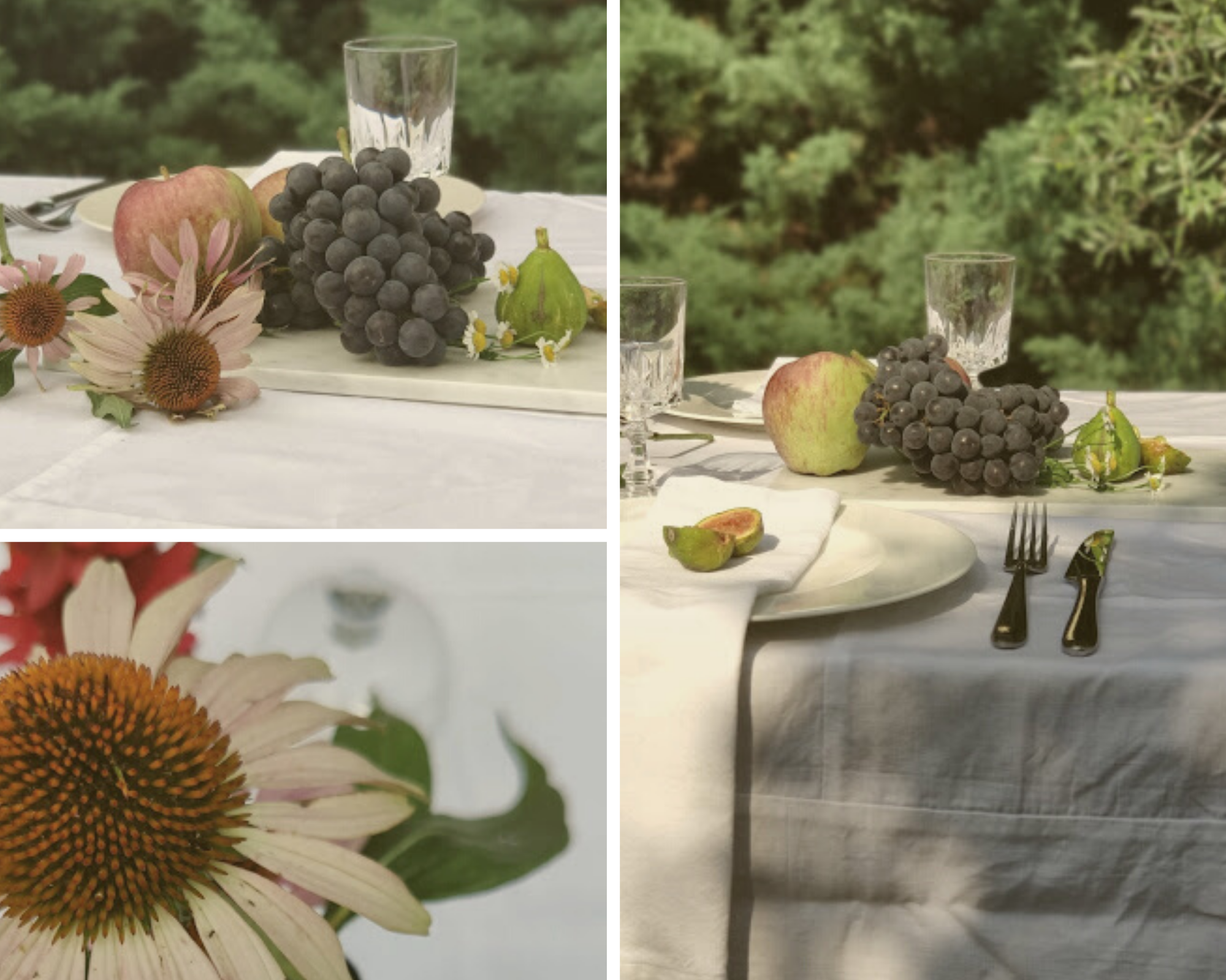 benvenuto autunno-gallery3-laurorafloreale.it benvenuto autunno-gallery3-laurorafloreale.it
