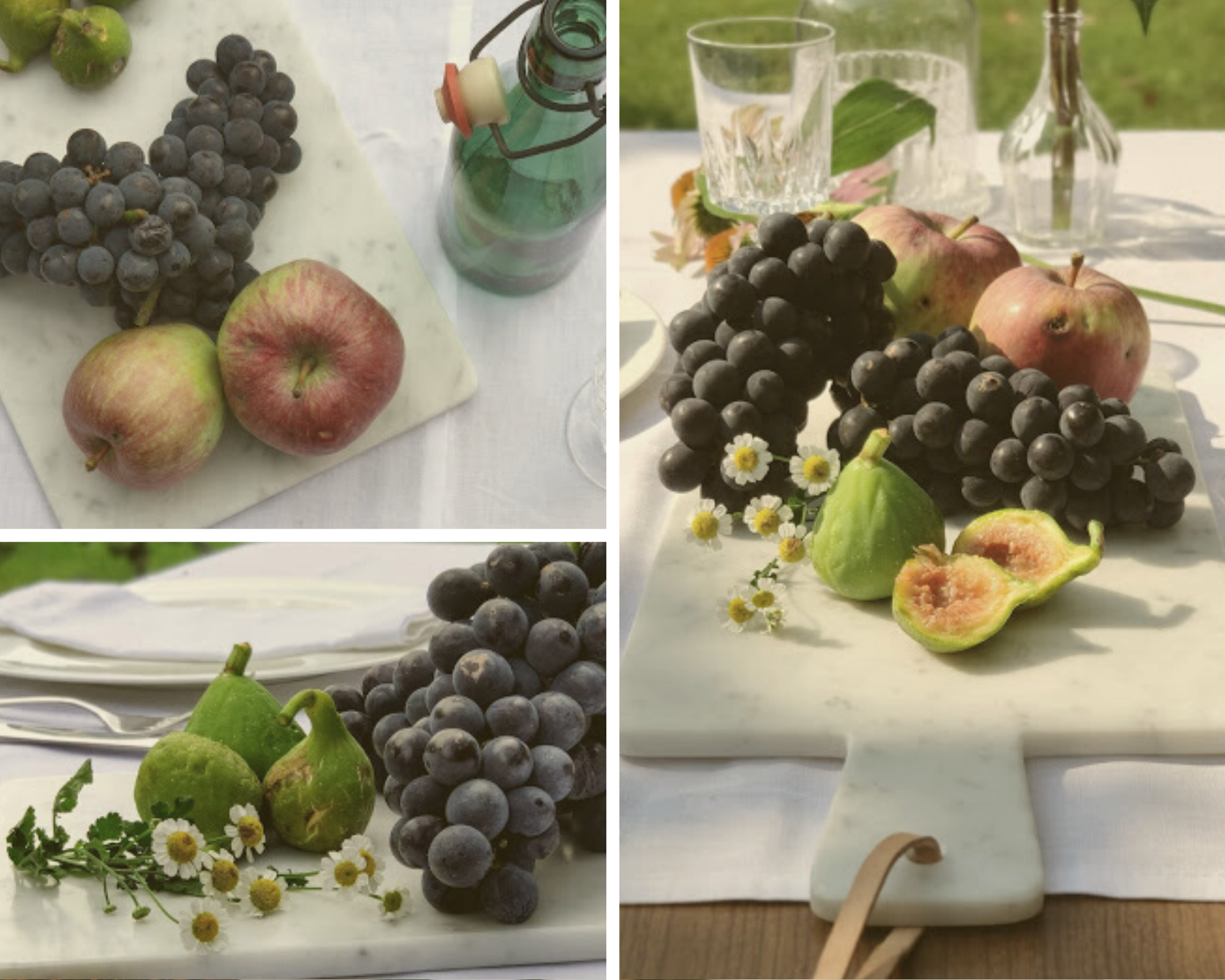 benvenuro autunno-gallery2-laurorafloreale.it benvenuro autunno-gallery2-laurorafloreale.it