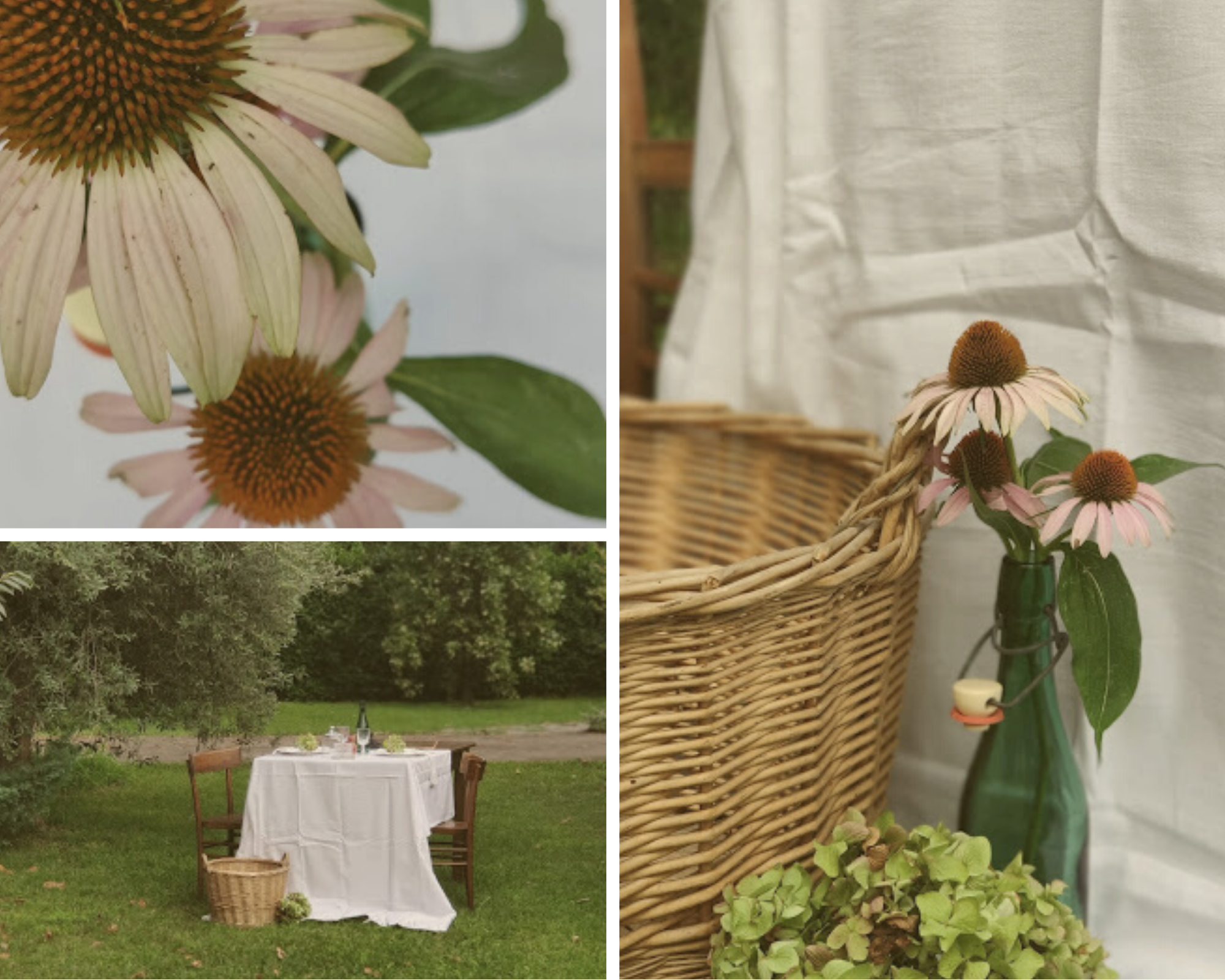 benvenuto autunno-gallery 4 -laurorafloreale.it benvenuto autunno-gallery 4 -laurorafloreale.it