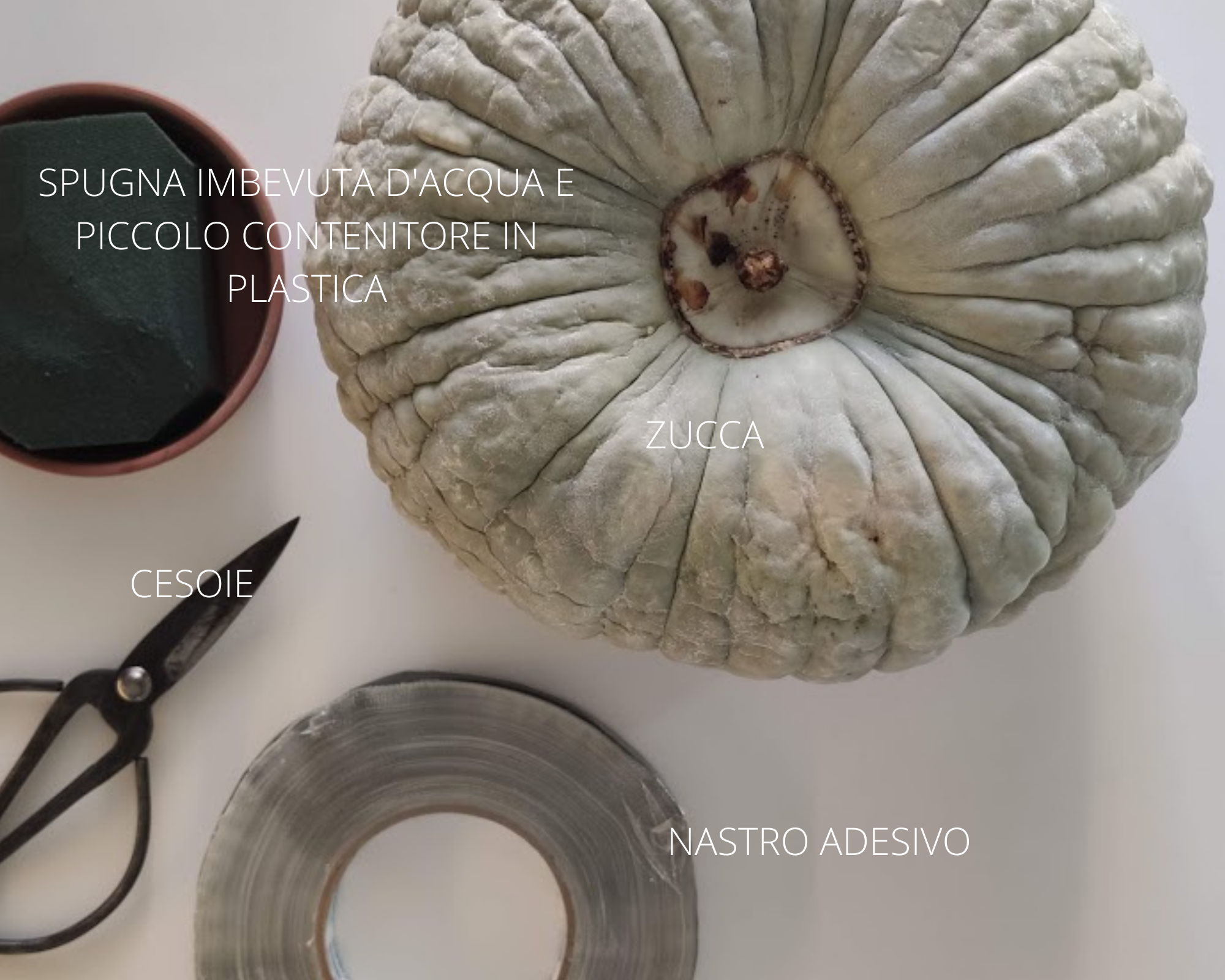 flowery-pumpkin1-laurorafloreale-it flowery-pumpkin1-laurorafloreale-it