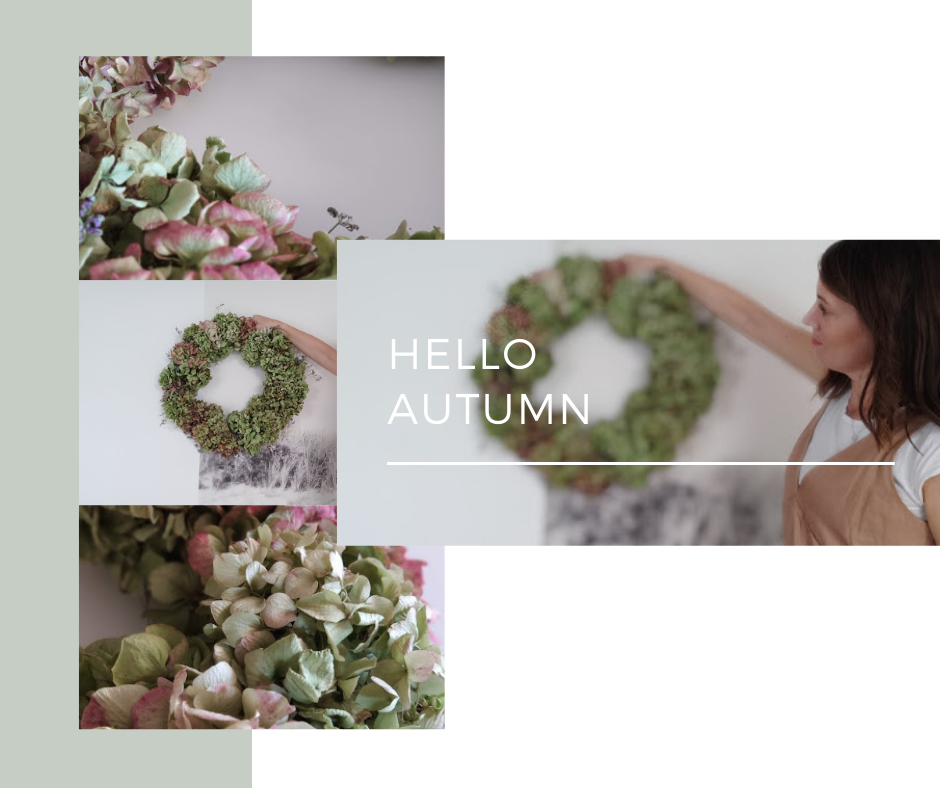hello-autumn-laurorafloreale.it hello-autumn-laurorafloreale.it