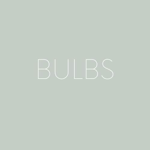 BULBS (1)