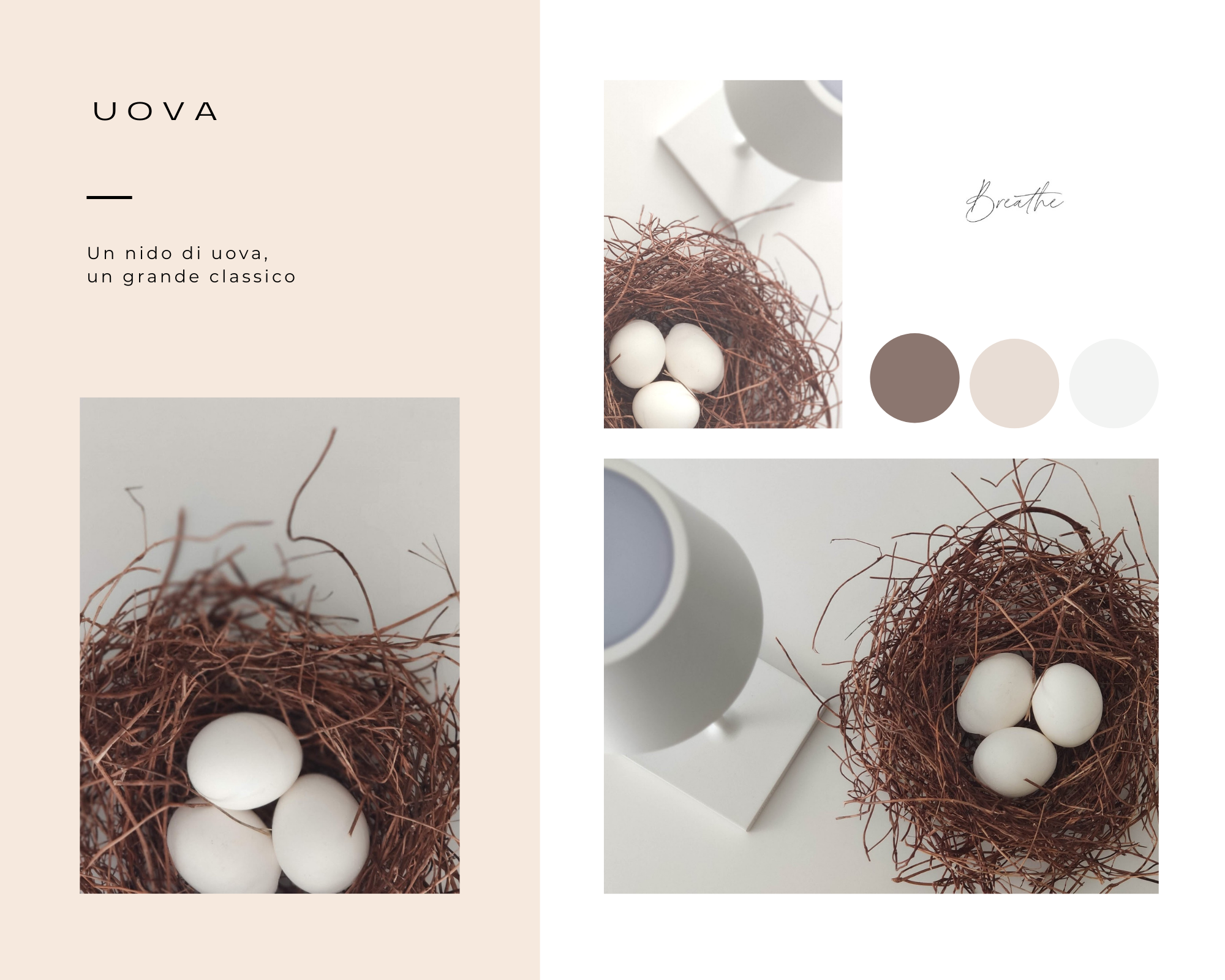 EGGS-LAURORAFLOREALE.ITpng EGGS-LAURORAFLOREALE.ITpng