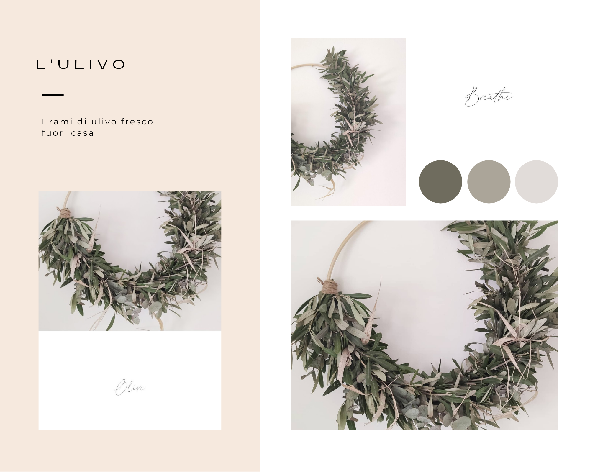 OLIVE-LAURORAFLOREALE.IT OLIVE-LAURORAFLOREALE.IT